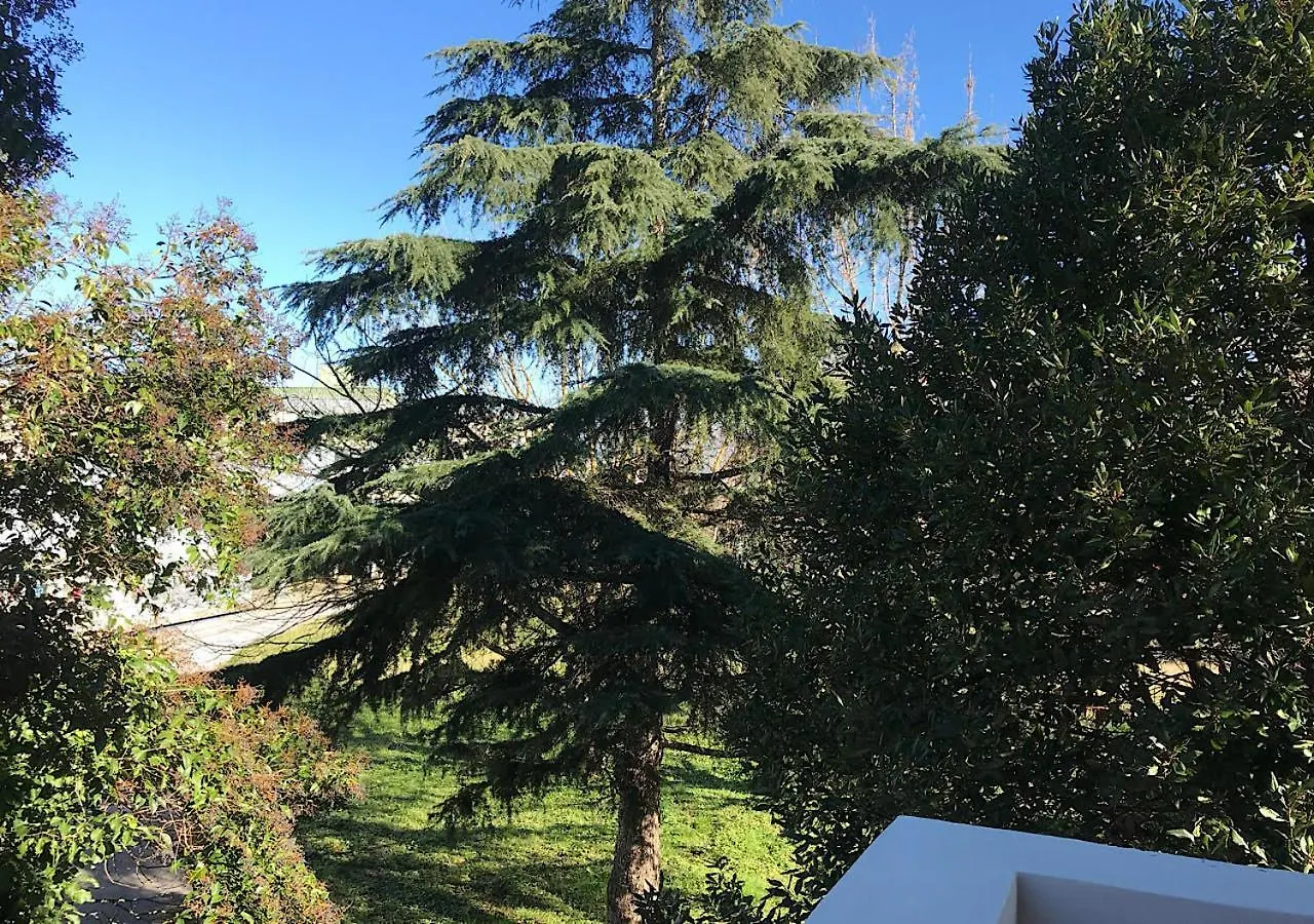 Appartamento La Perla Bianca Pisa Apartment